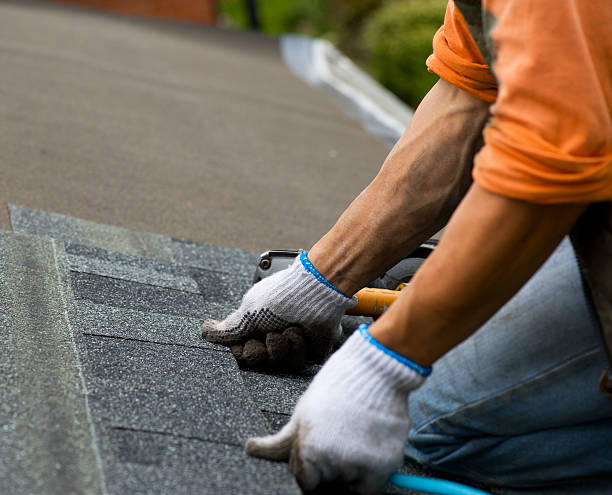 Best Roof Repair Services  in South Temple, PA